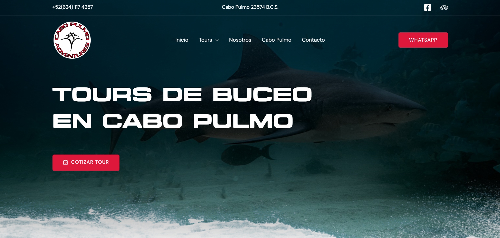 Cabo Pulmo Adventures